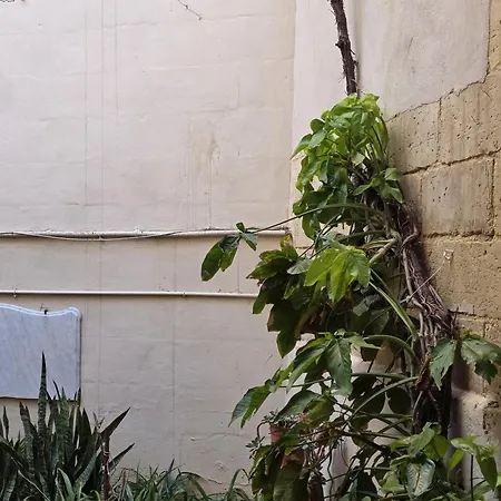 Townhouse St Julian's Appartamento San Giuliano